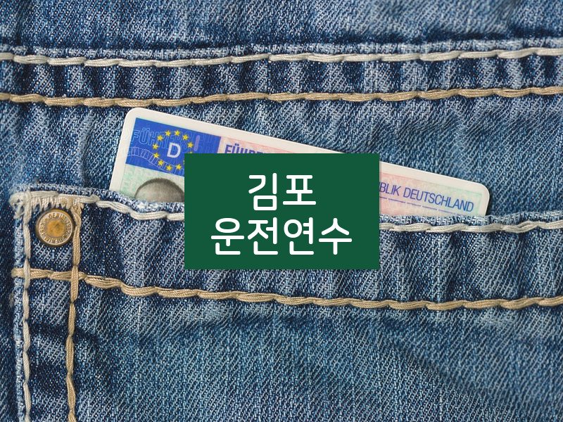 김포운전연수 후기