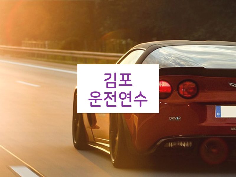 김포운전연수 후기