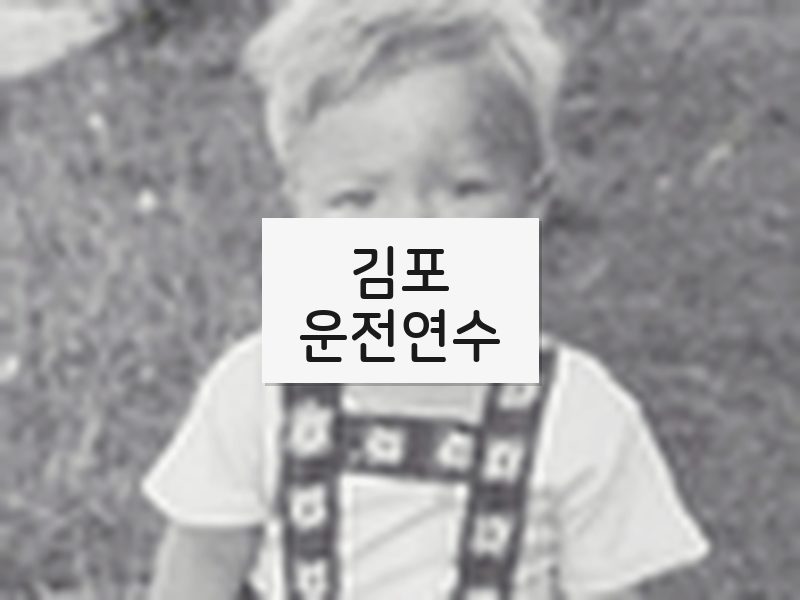 김포운전연수 후기