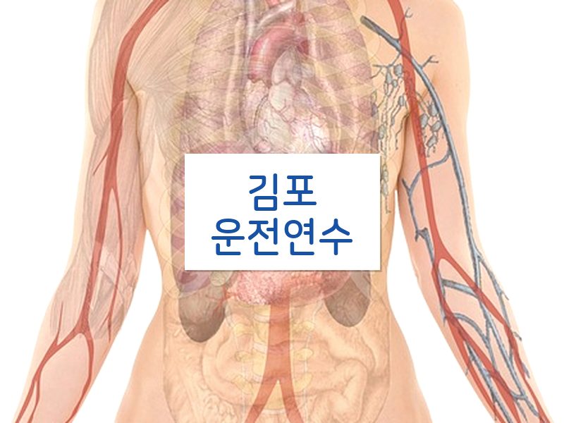 김포운전연수 후기