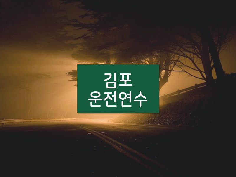 김포운전연수 후기