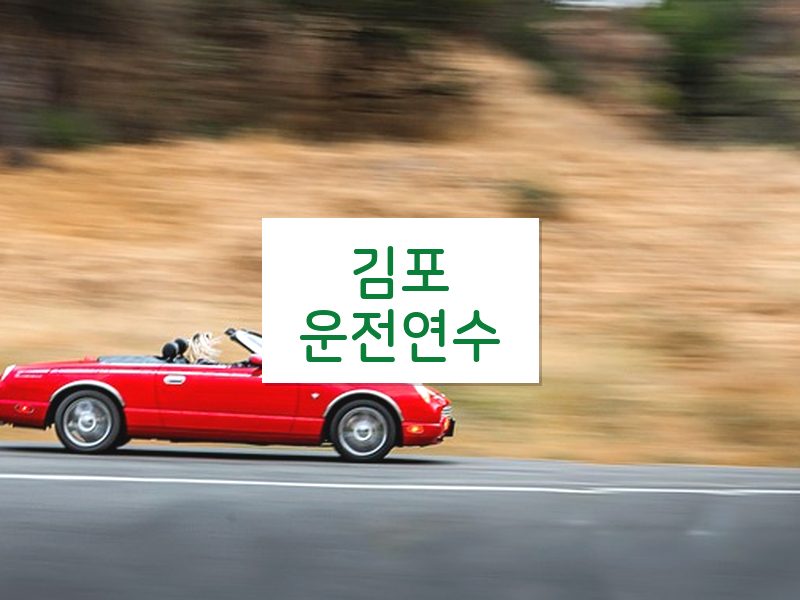 김포운전연수 후기