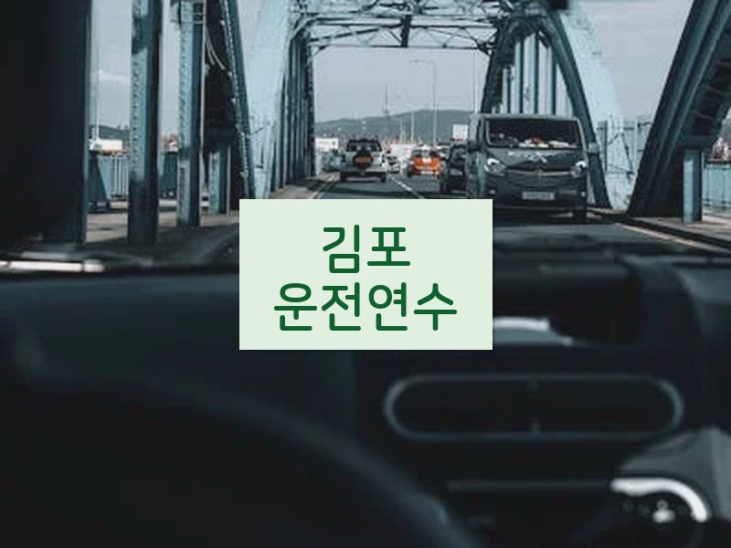 김포운전연수 후기