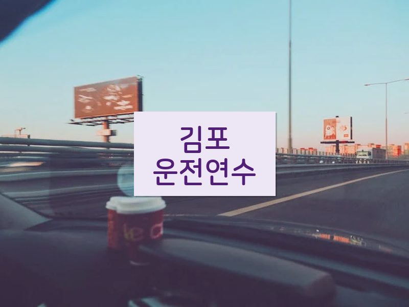김포운전연수 후기