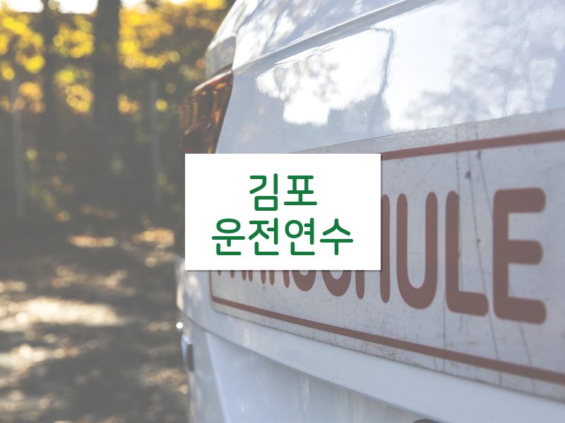 김포운전연수 후기