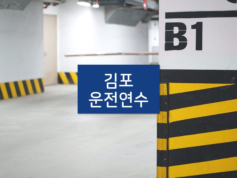 김포운전연수 후기