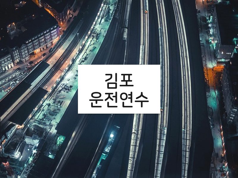 김포운전연수 후기