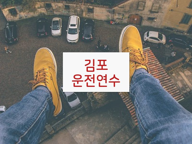 김포운전연수 후기