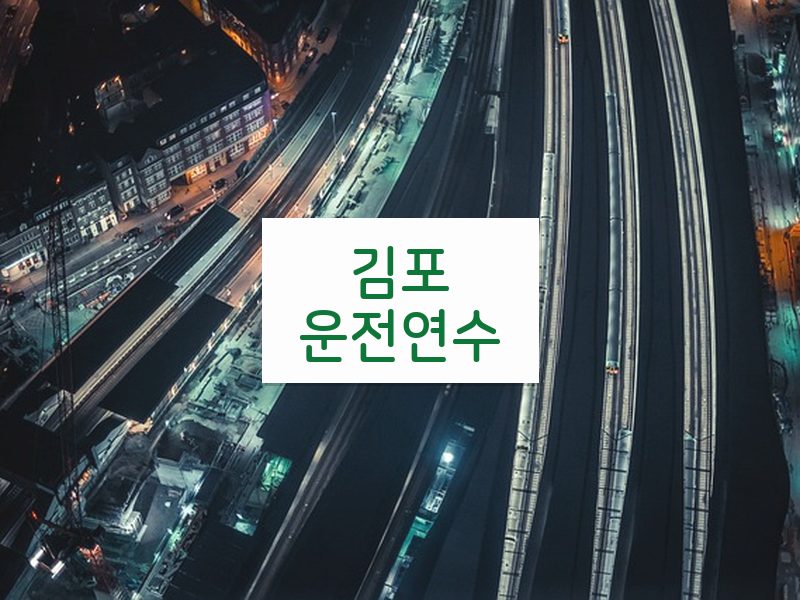 김포운전연수 후기