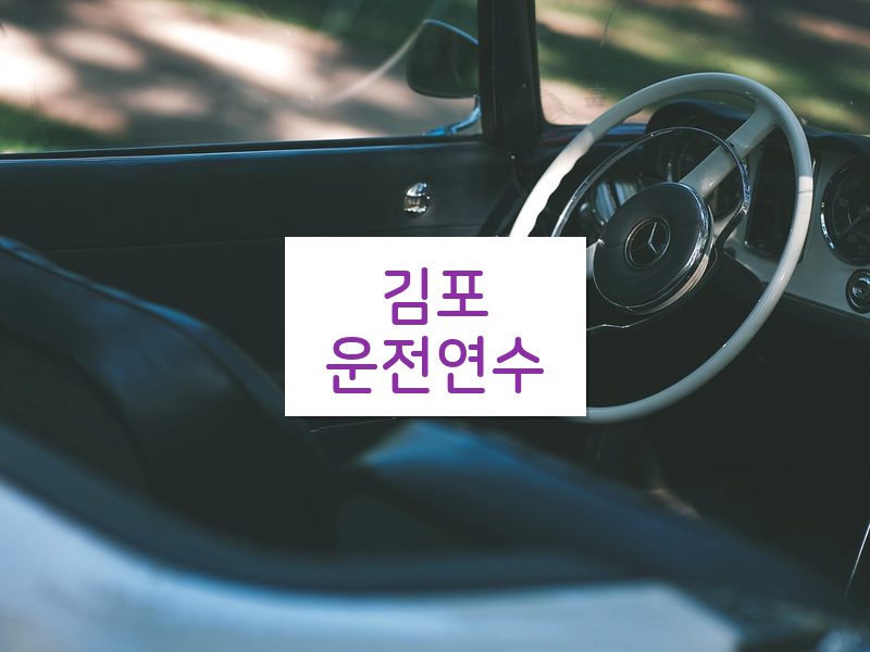 김포운전연수 후기
