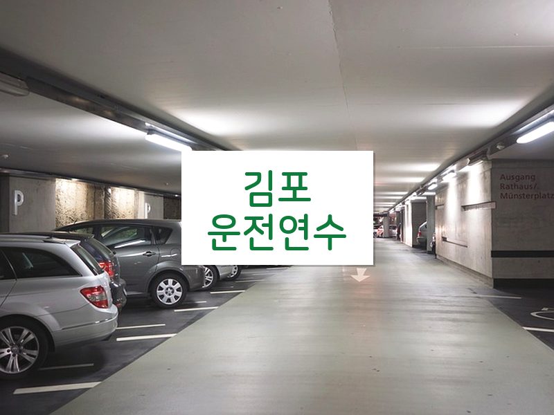 김포운전연수 후기