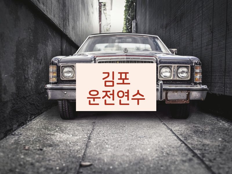 김포운전연수 후기