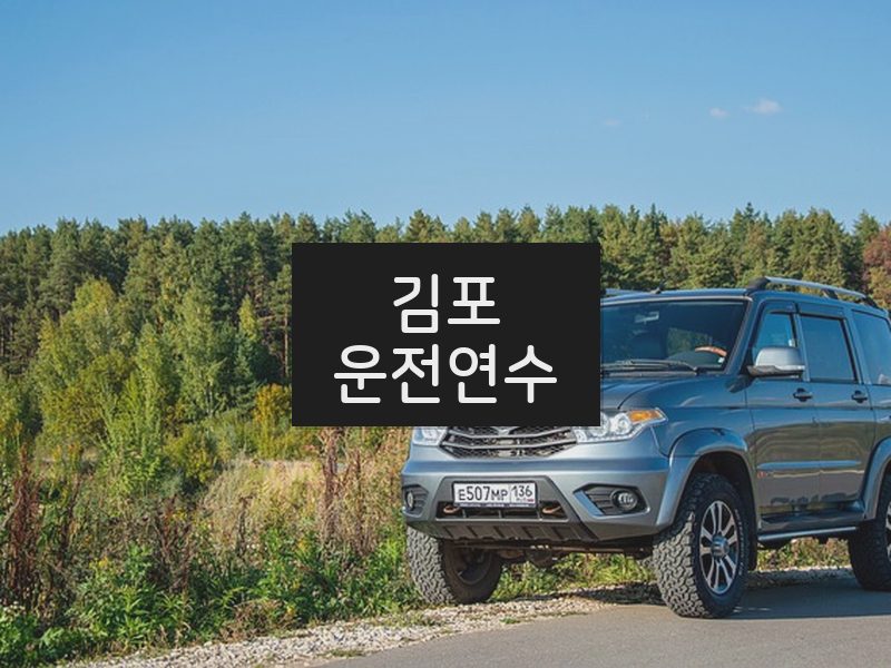 김포운전연수 후기