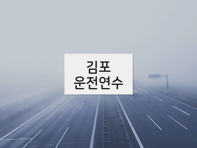김포운전연수 후기