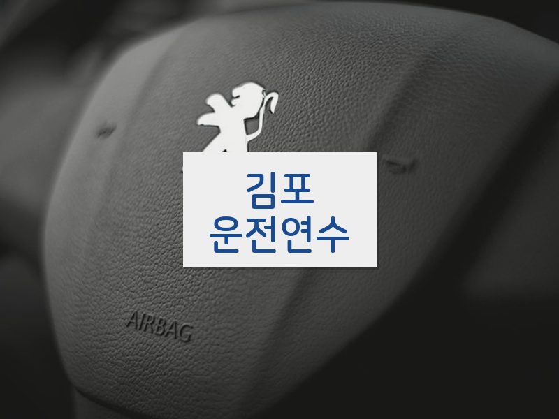 김포운전연수 후기