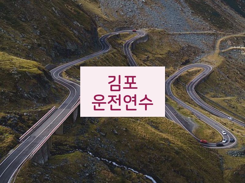 김포운전연수 후기