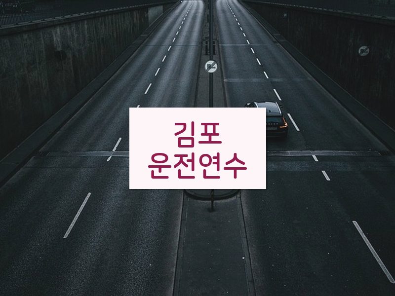 김포운전연수 후기
