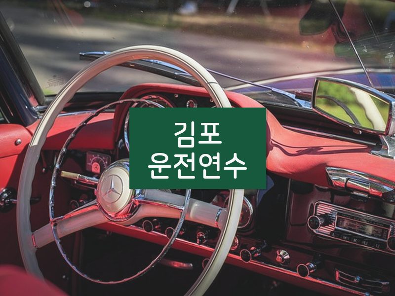 김포운전연수 후기