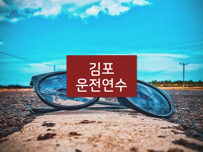 김포운전연수 후기