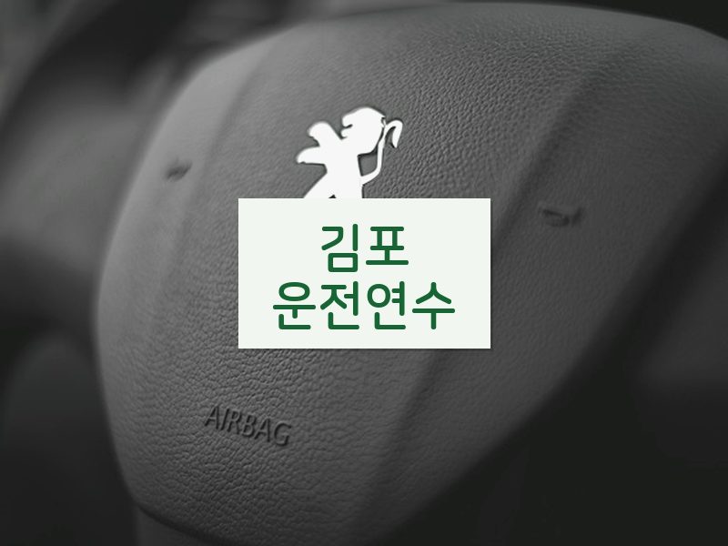 김포운전연수 후기