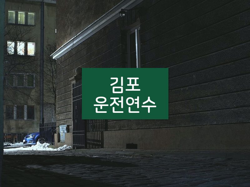 김포운전연수 후기