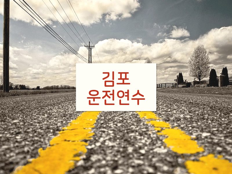 김포운전연수 후기