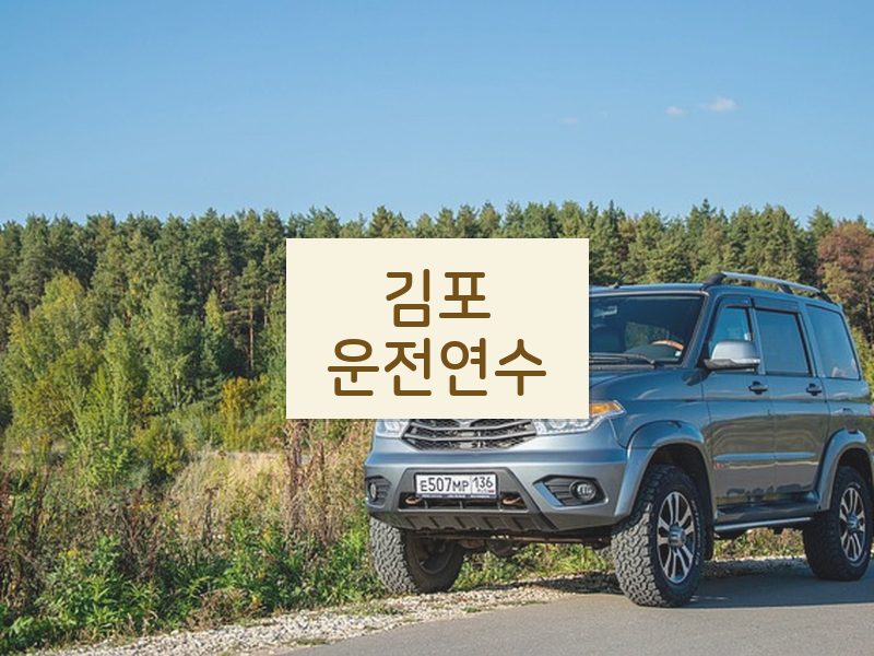 김포운전연수 후기