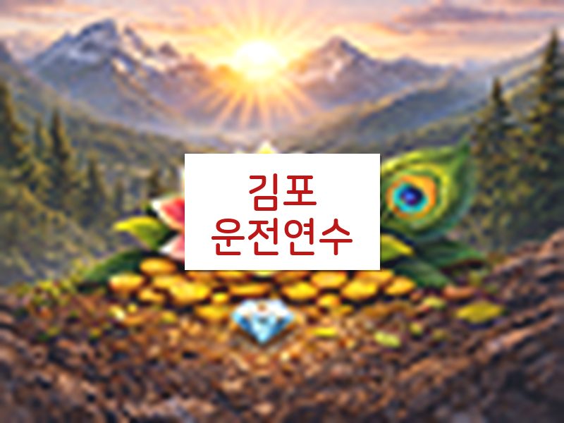 김포운전연수 후기