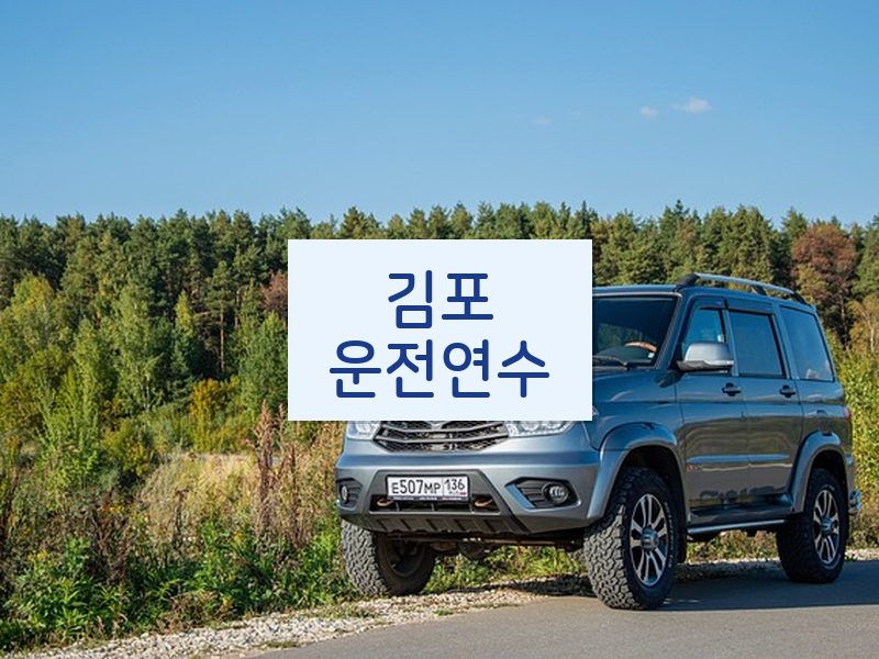 김포운전연수 후기