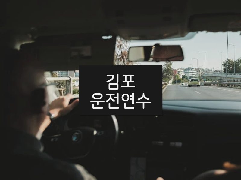 김포운전연수 후기
