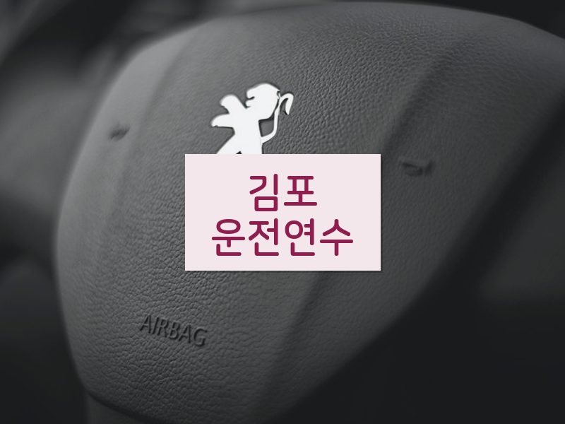 김포운전연수 후기