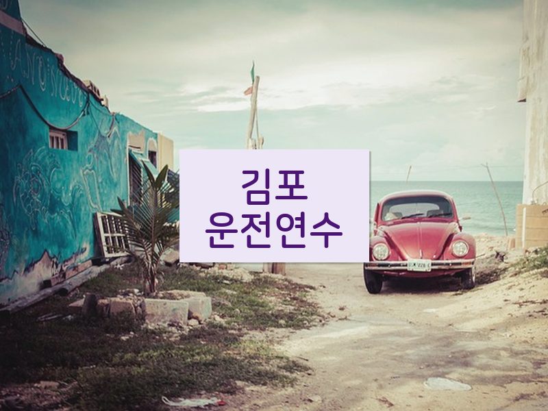 김포운전연수 후기