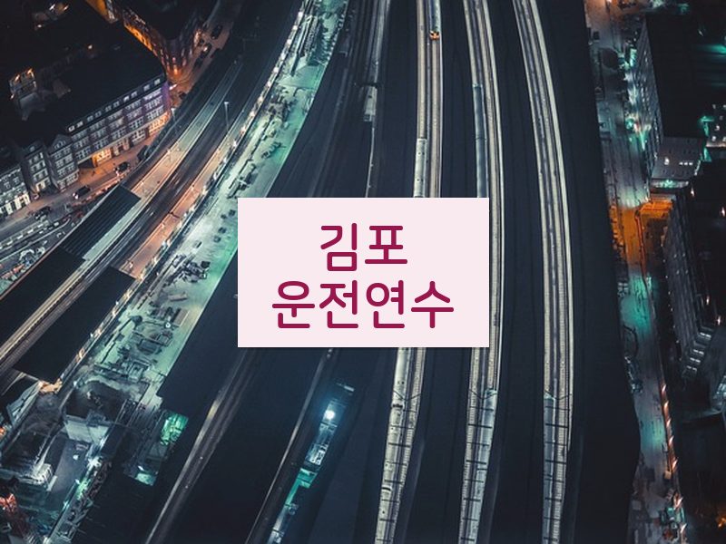 김포운전연수 후기