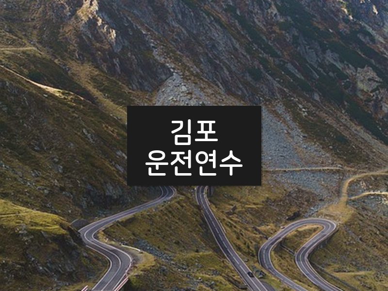 김포운전연수 후기