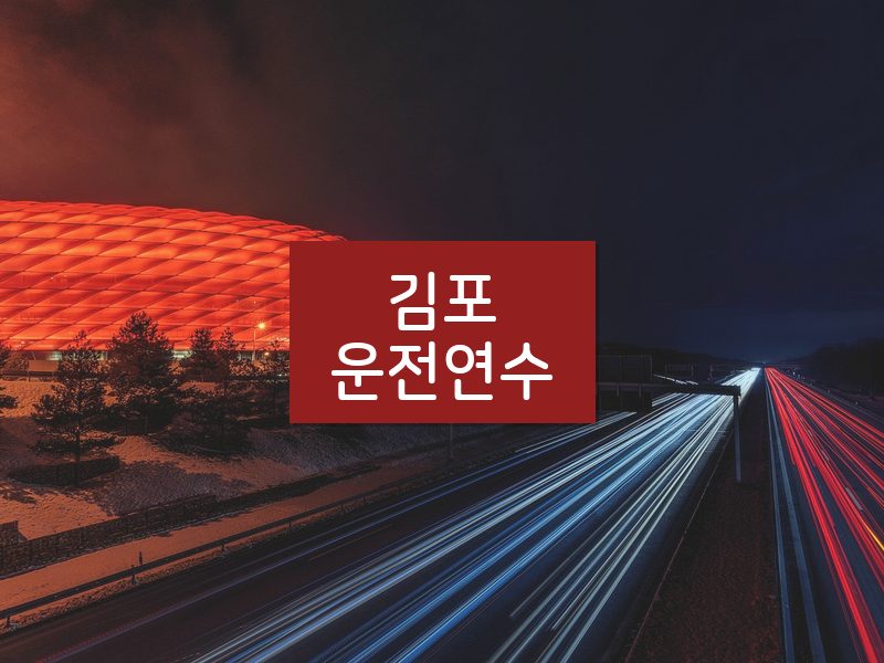 김포운전연수 후기