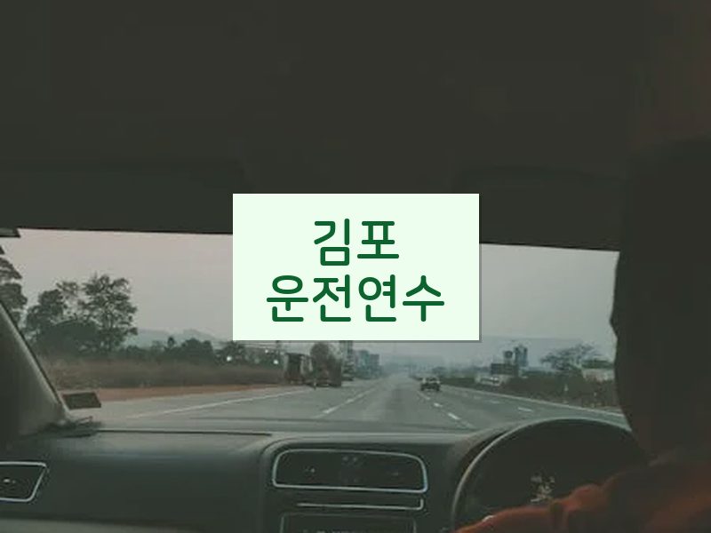 김포운전연수 후기