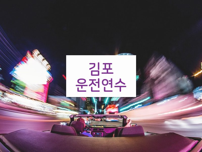 김포운전연수 후기