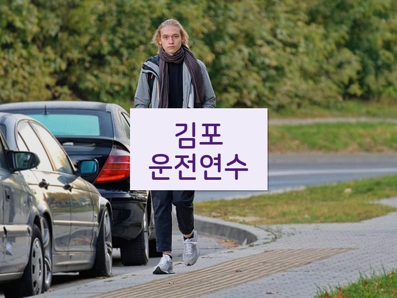 김포운전연수 후기