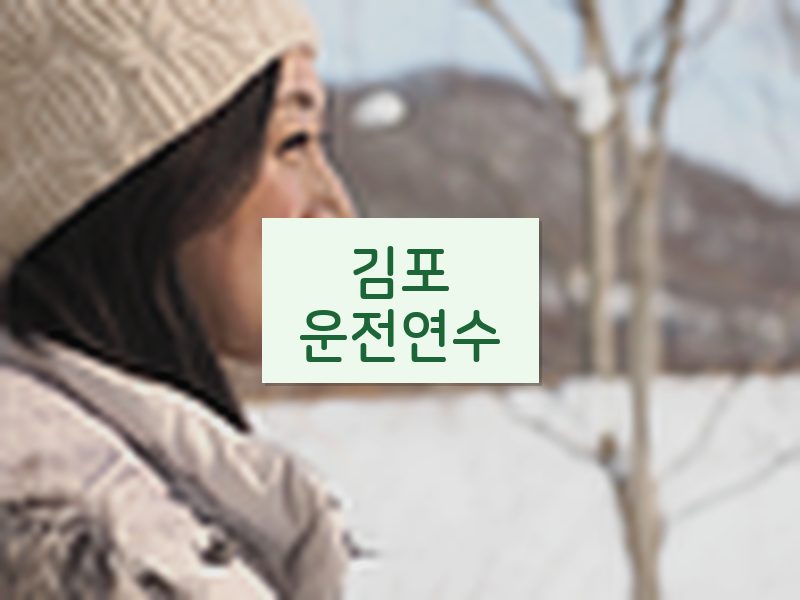김포운전연수 후기