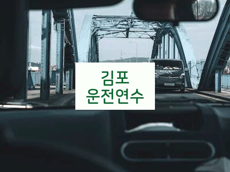 김포운전연수 후기