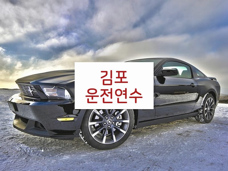 김포운전연수 후기
