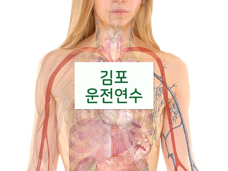 김포운전연수 후기