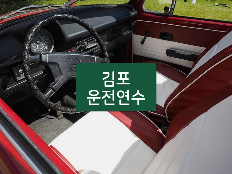 김포운전연수 후기