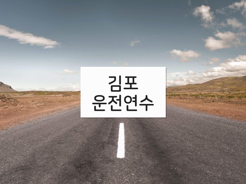 김포운전연수 후기