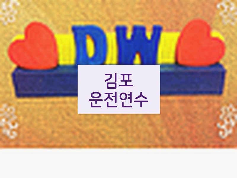 김포운전연수 후기