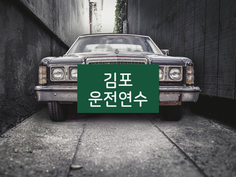 김포운전연수 후기