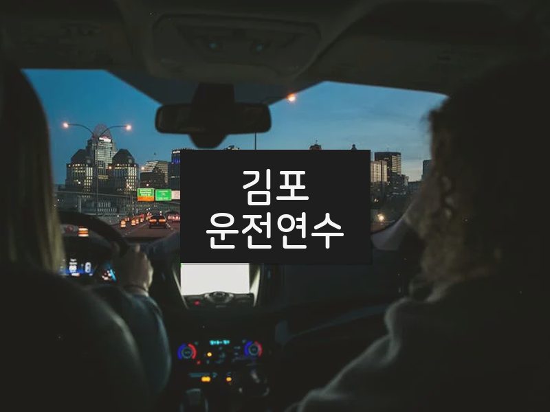 김포운전연수 후기