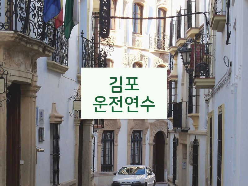 김포운전연수 후기