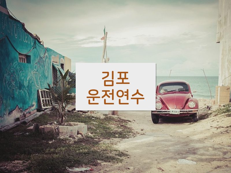 김포운전연수 후기