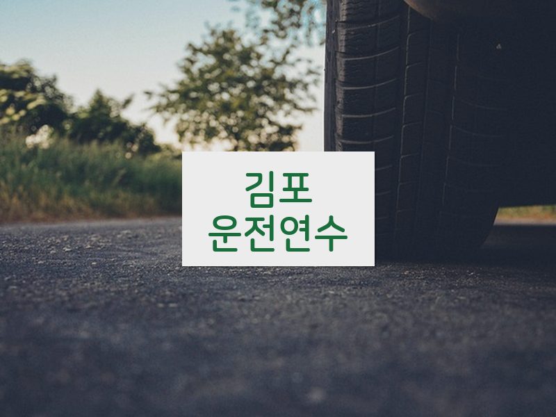 김포운전연수 후기
